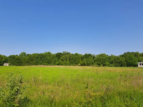 2 Acres Ville St #36, Gobles, MI 49055