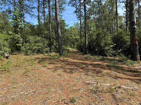 565 Sparkleberry Lot 191, Brookeland, TX 75931