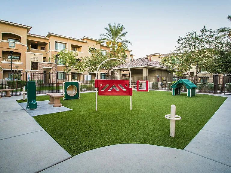 Dog Park with Agility Training Equipment