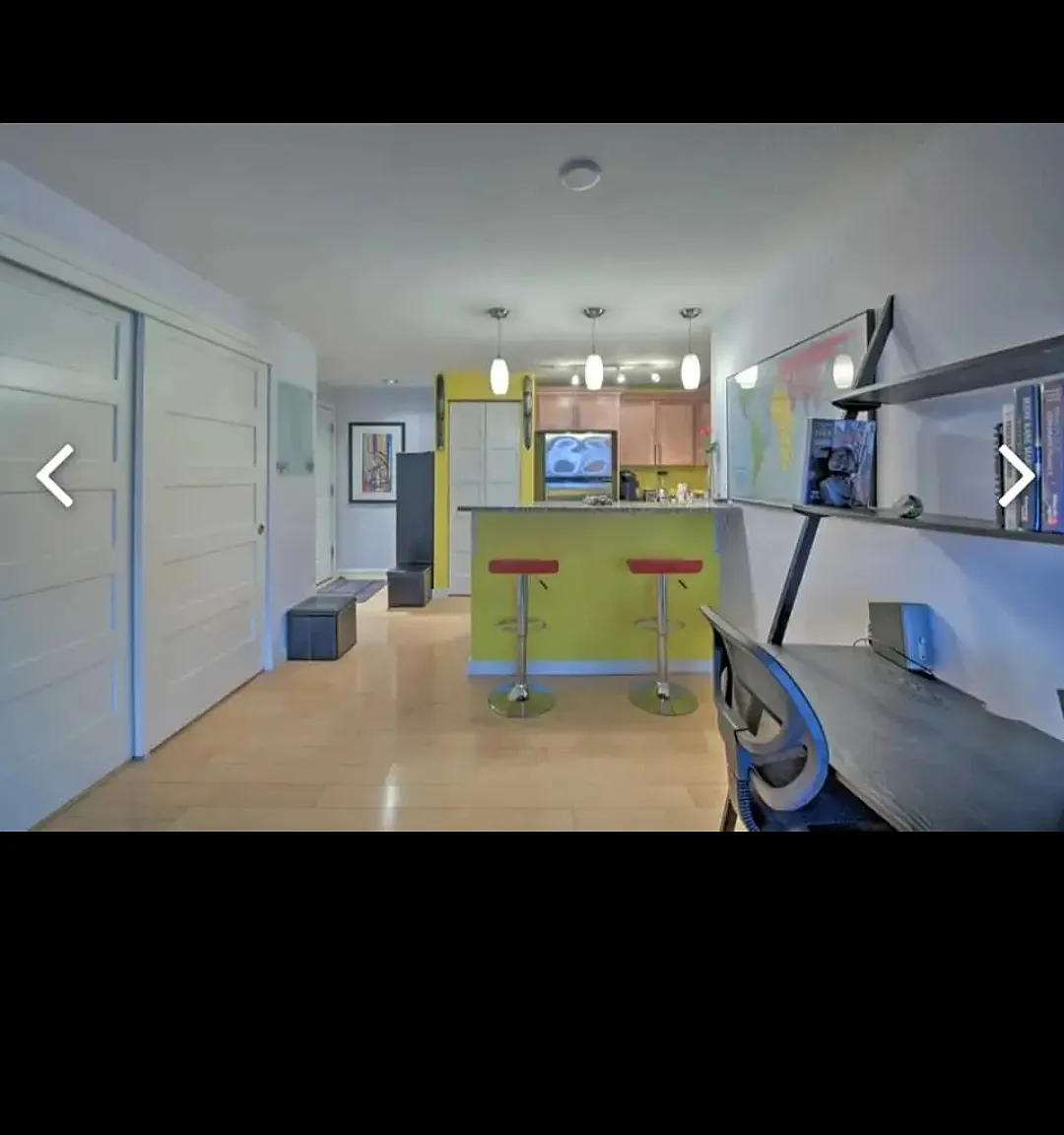 1 bed, 553 sqft, $2,600 — Photo 4