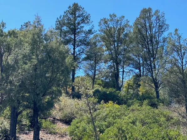 912 N Indian Paintbrush Cir, Payson, AZ 85541