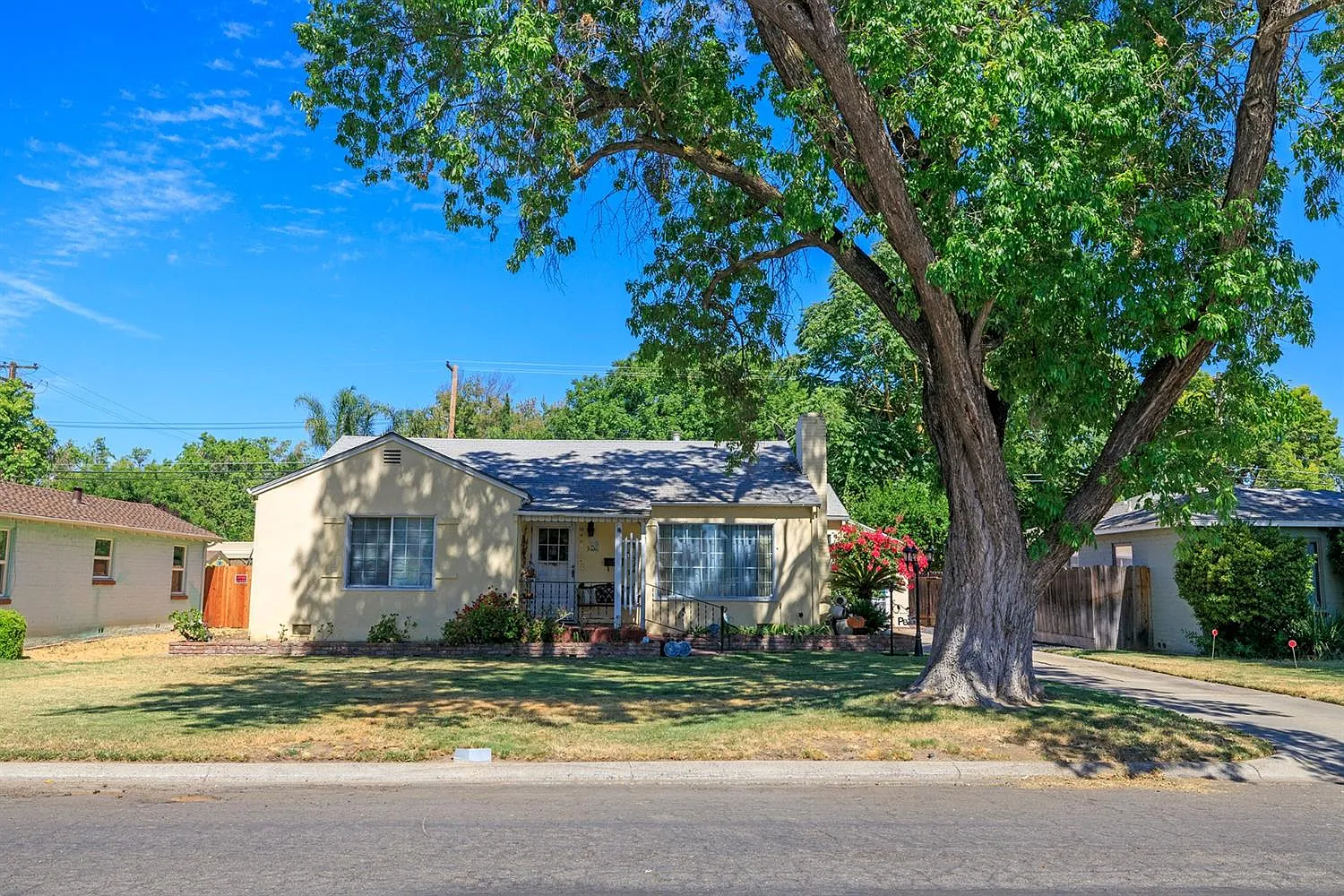 348 Camellia Way photo 1