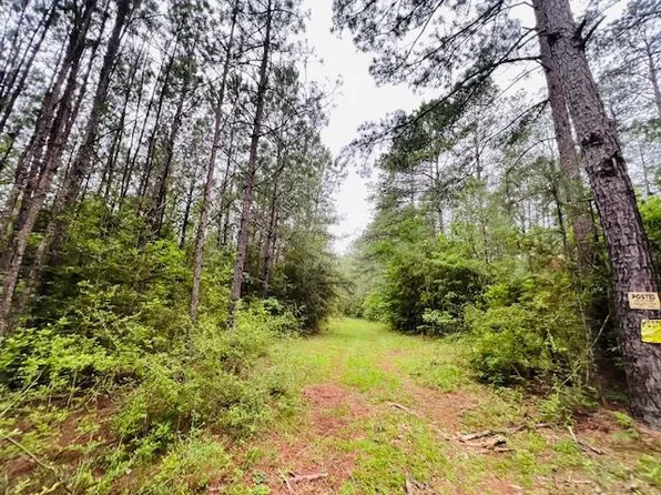 Kirklin Rd, Tylertown, MS 39667