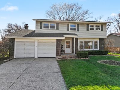 1004 N Greenfield Ln, Mount Prospect, IL, 60056