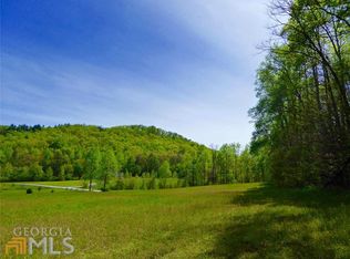 0 Ledford Rd #1B, Dillard, GA 30537