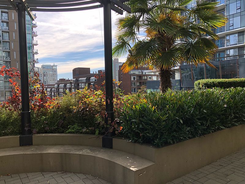 Vancouver Apartment for rent - 1 Bedroom — photo 20