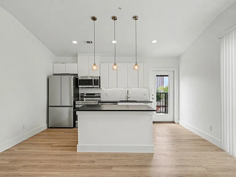 2217 N Fitzhugh Ave #303 — Photo 19
