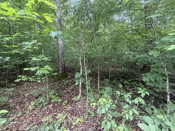 2nd image of 0 Caney Branch Rd Lot 13