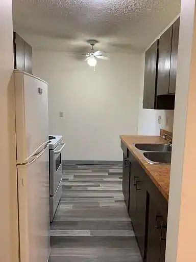 1 bed, 1.0 bath, $950 — Photo 2
