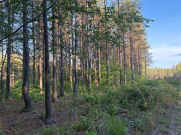 5th image of 68 Black Bear Ln