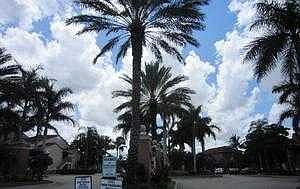 2nd image of 7816 Sonoma Springs Cir APT 206