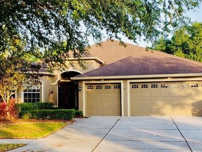 3209 Hanging Vine Ct, Land O Lakes, FL, 34639