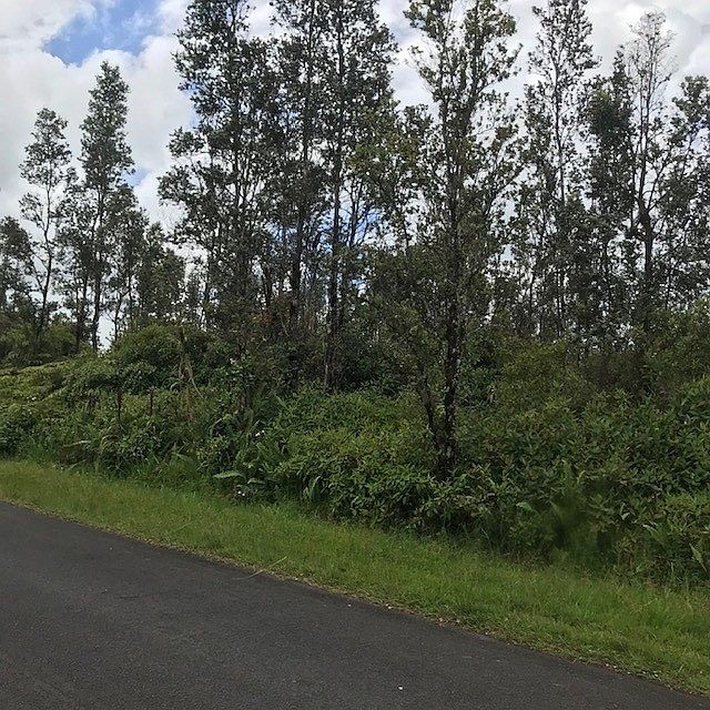 2nd image of Hibiscus St Lot 7412