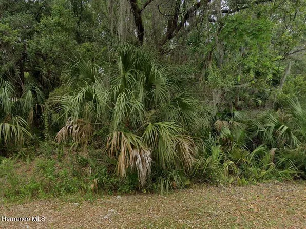 7703 N Forsythia Way, Crystal River, FL 34428