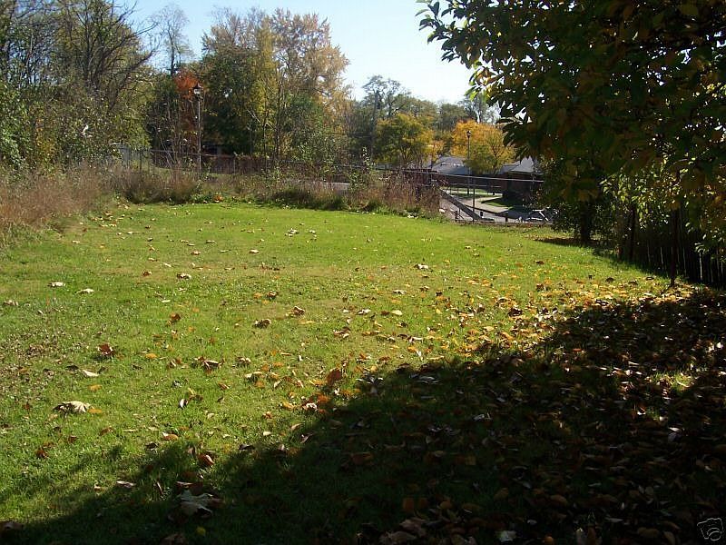 BACK YARD/ OUTSIDE
