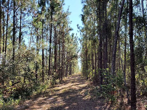 2nd image of 0 Brown Rd