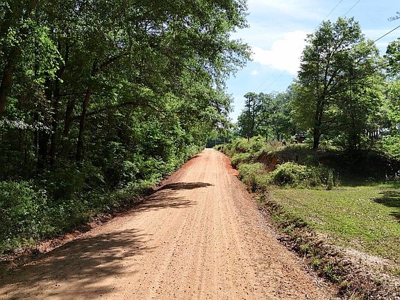 2nd image of Blueberry Rd #X