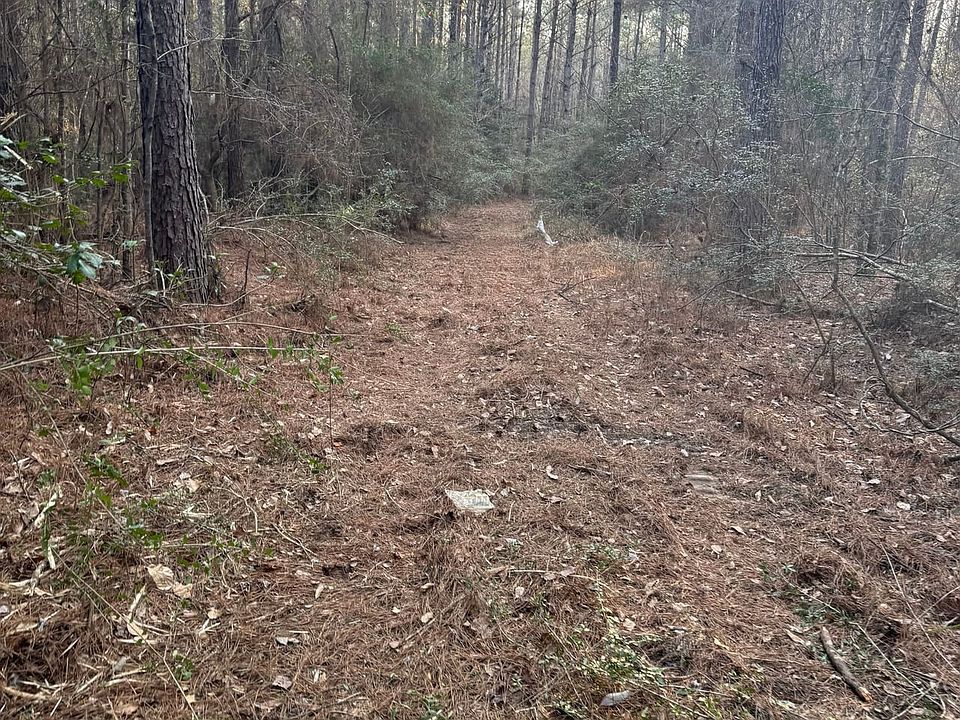 Photo Feb 13 2026 4 15 27 Pm