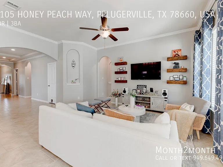 3105 Honey Peach Way #USA — Photo 4