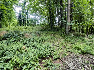 1 59th Ave, Woodland, WA, 98674