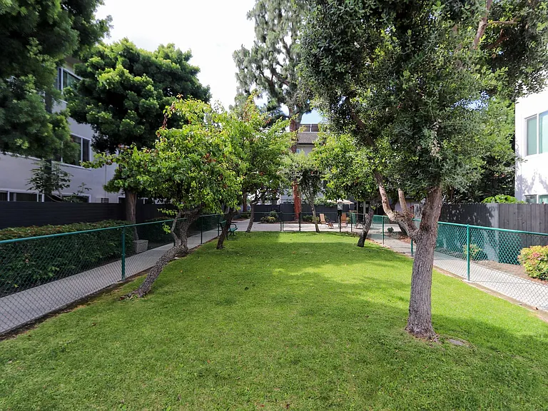 Miracle Terrace — Photo 44