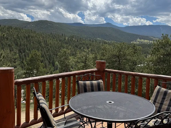 303 Virginia Rd #E, Bailey, CO 80421