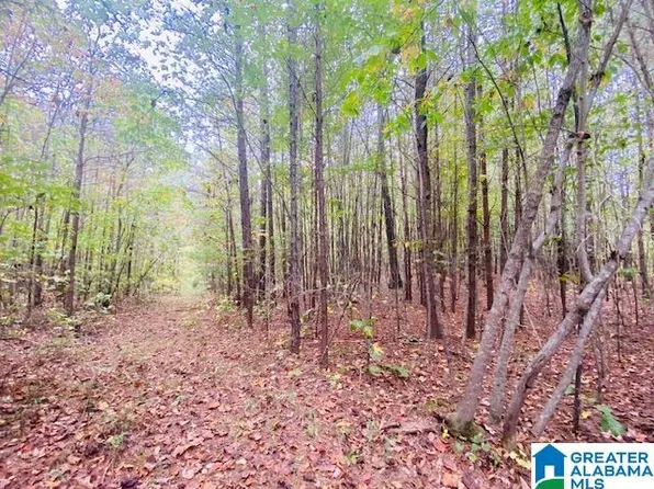 1085 Summit Park Rd #17-17A, Odenville, AL 35120