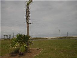 5th image of 4127 Great Blue Heron Dr