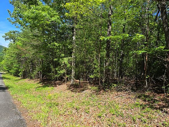 3rd image of TRACT 4A Garland Ln