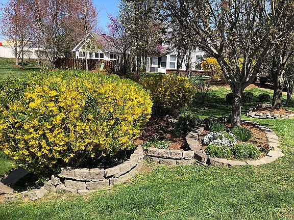 Landscaping in Front Yard