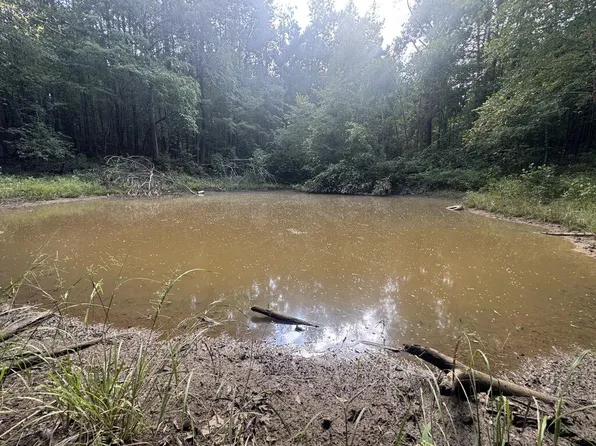 N/a County Rd #1495, Burnsville, MS 38833