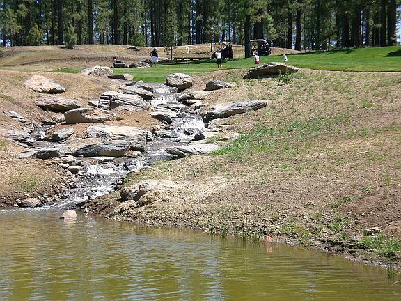 Pond 