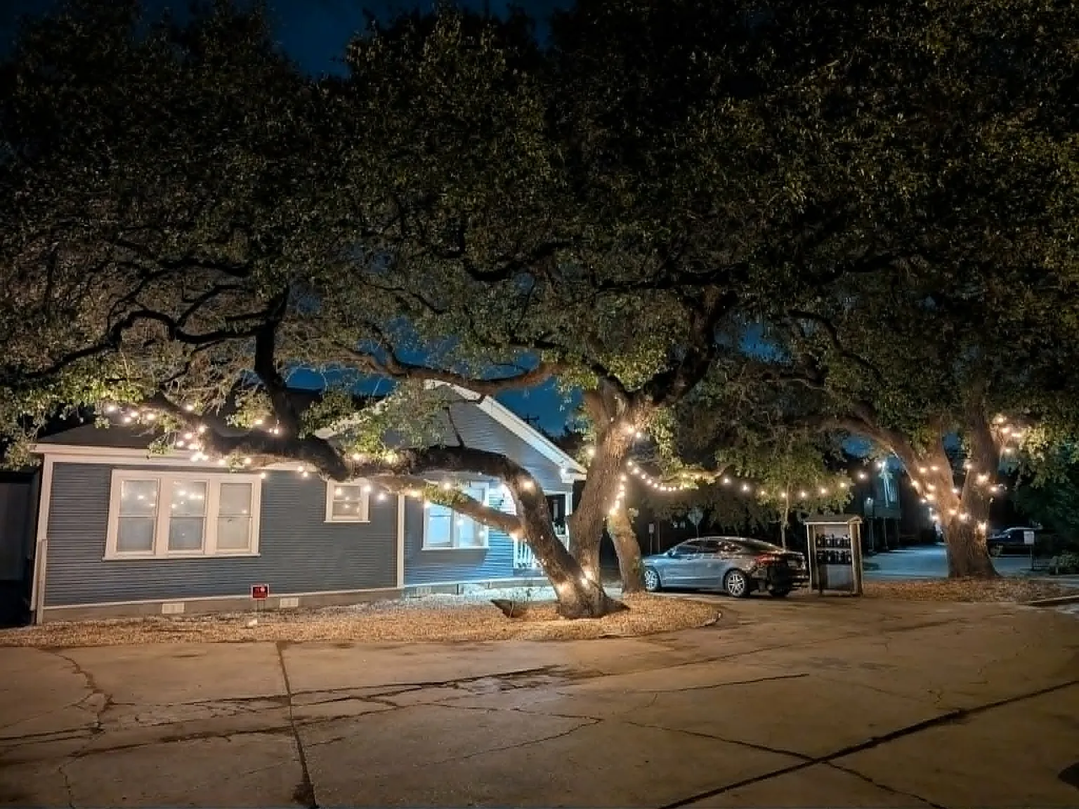 1 bed, 500 sqft, $975 — Photo 4