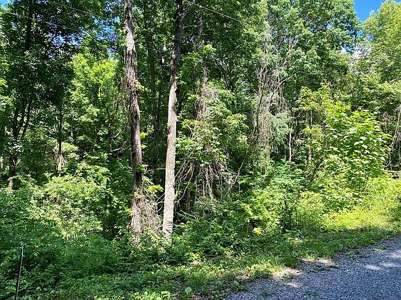 2nd image of 19 Cedar Ridge Rd