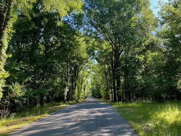 201 Johnson Creek Ct, Cecil, AL 36013