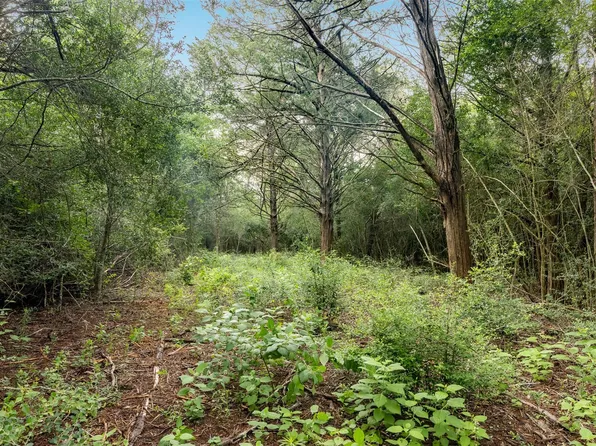 Homestead Ln, Burton, TX 77835