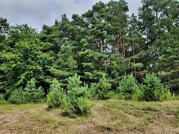 0 Lake George Rd, Oakland, MI 48363