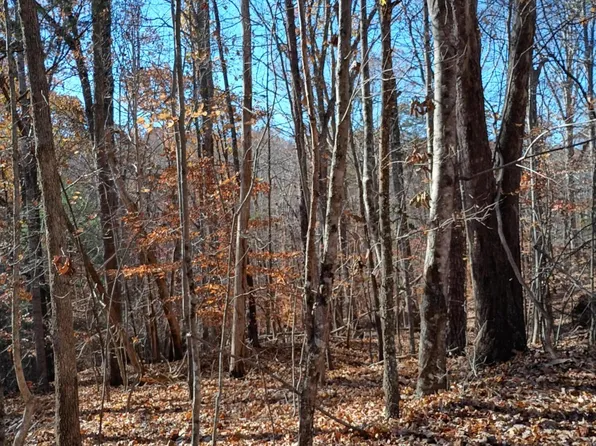 55 Old Barn Rd, Moneta, VA 24121