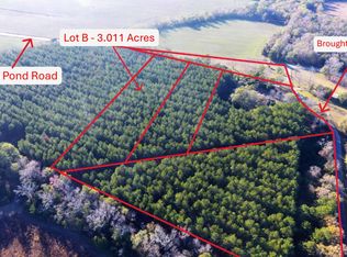 0 Broughton Dr LOT B, Eutawville, SC 29048