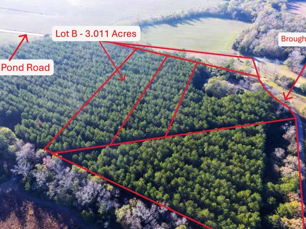 0 Broughton Dr Lot B, Eutawville, SC 29048