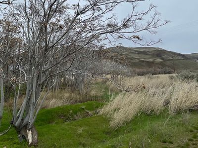 Roosevelt Ave, Roosevelt, WA, 99356