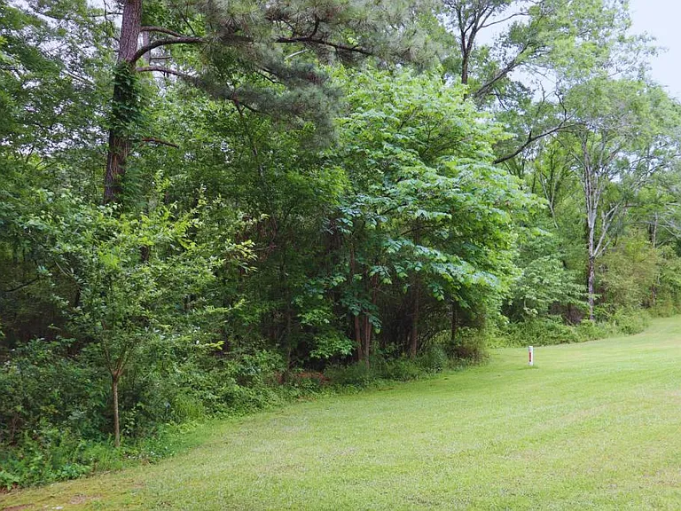 1100 Woodlawn Ave #64 — Photo 31