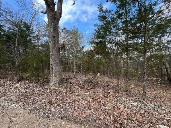N Lake Haven Dr, Lead Hill, AR 72644