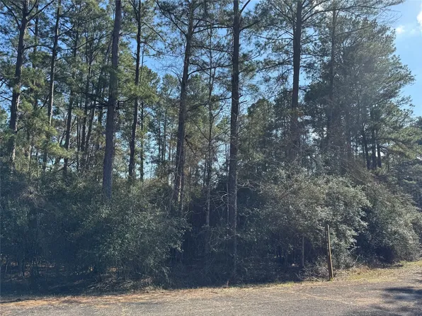 White Oak St Lot 1-12-20, Trinity, TX 75862