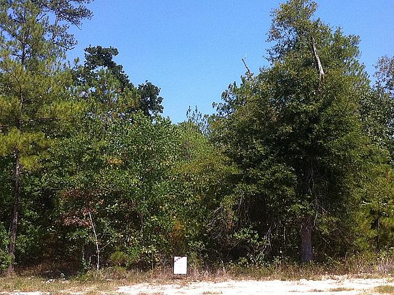 Gorgeous trees and nice elevation!