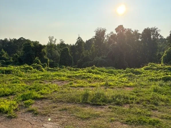 170 S Kelley St, Tallapoosa, GA 30176