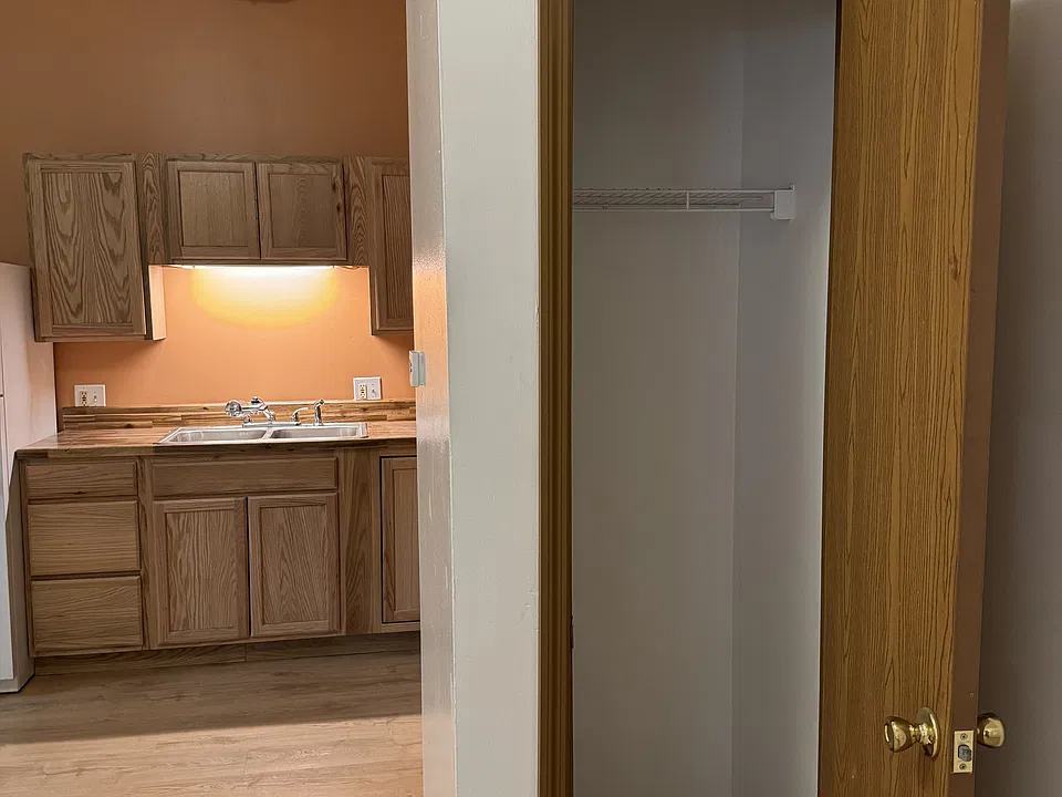 LR closet and kitchen