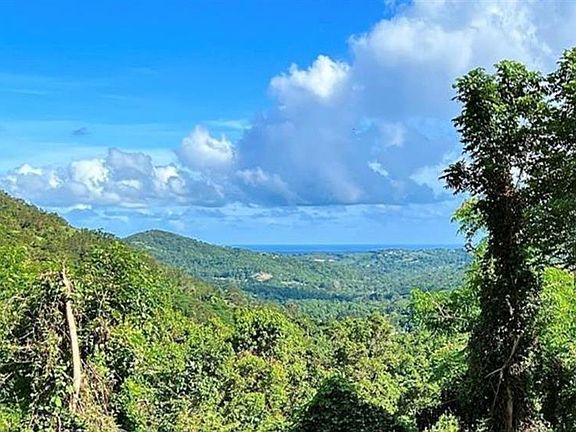 3rd image of Las Lomas