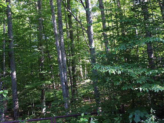 3rd image of 3283 Havenwood Dr