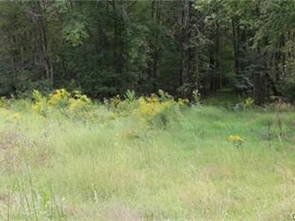 Summer Valley Rd Lot 2, New Ringgold, PA 17960